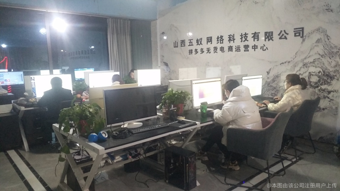 五蚁网络科技